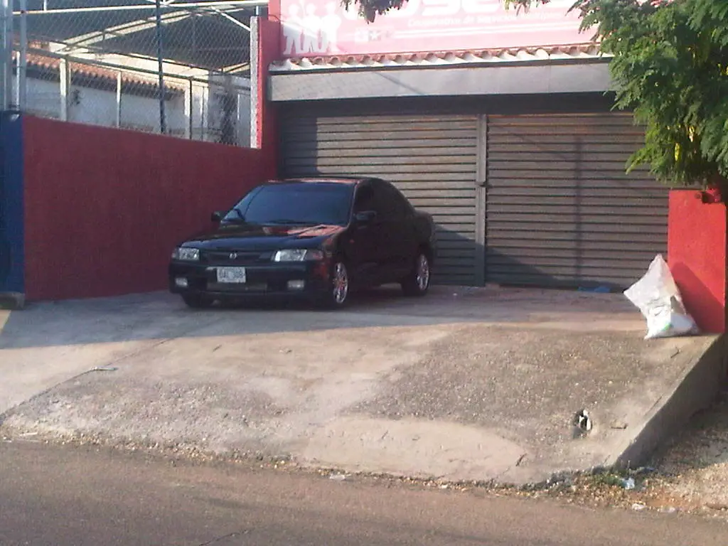 IMG00411-20101216-1625.jpg