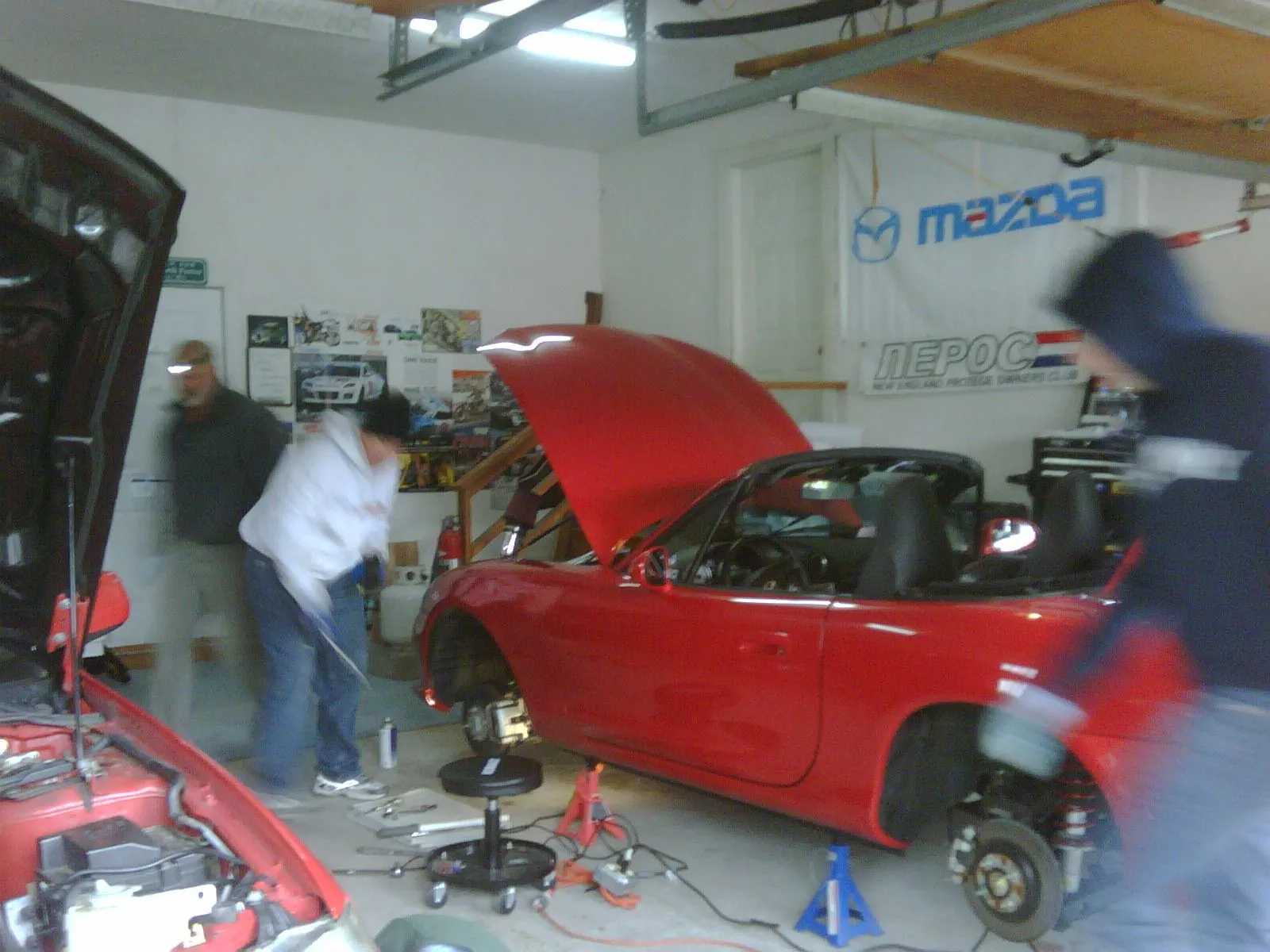 IMG00679-20100417-1126.webp