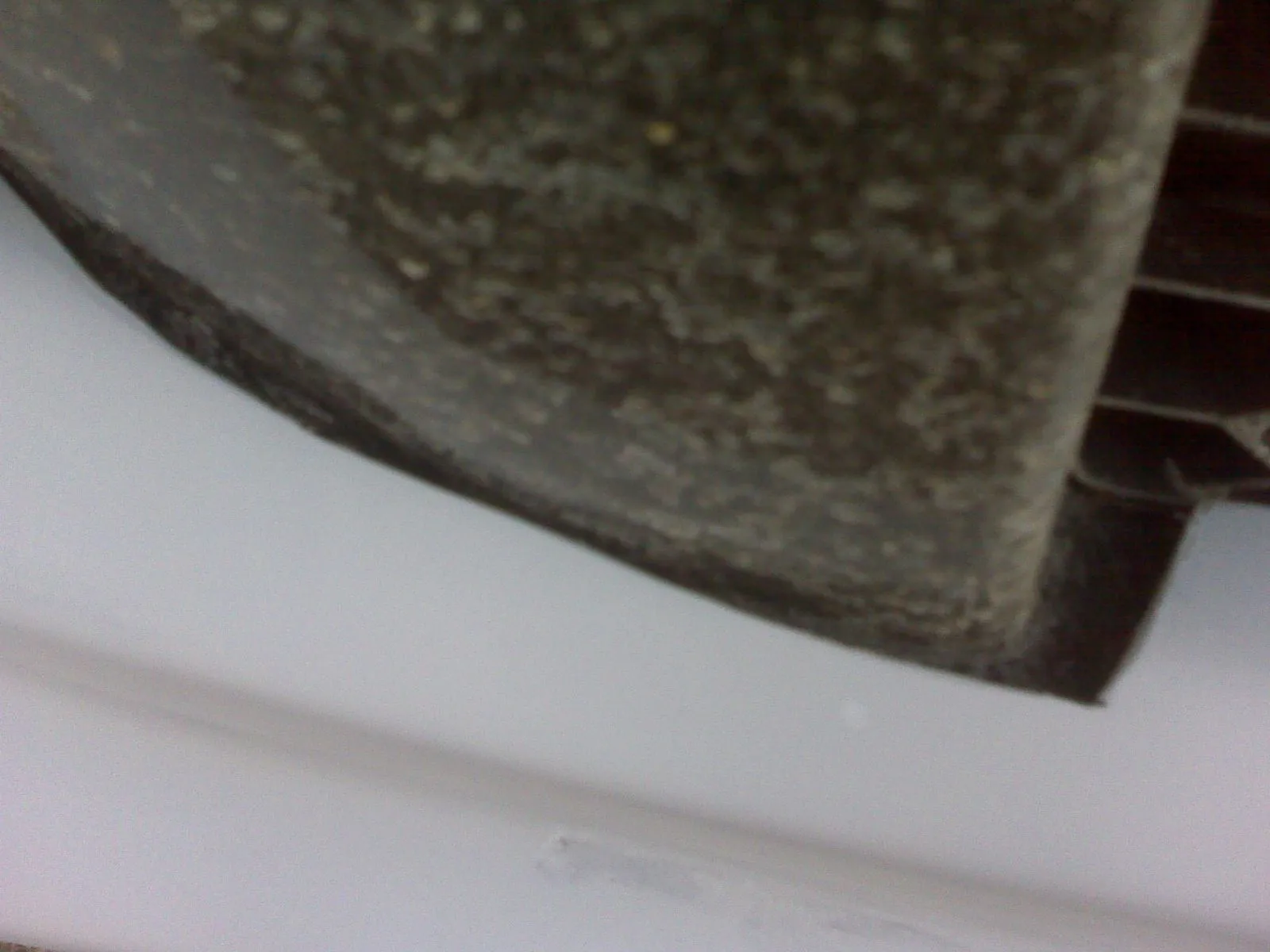 IMG00880.jpg