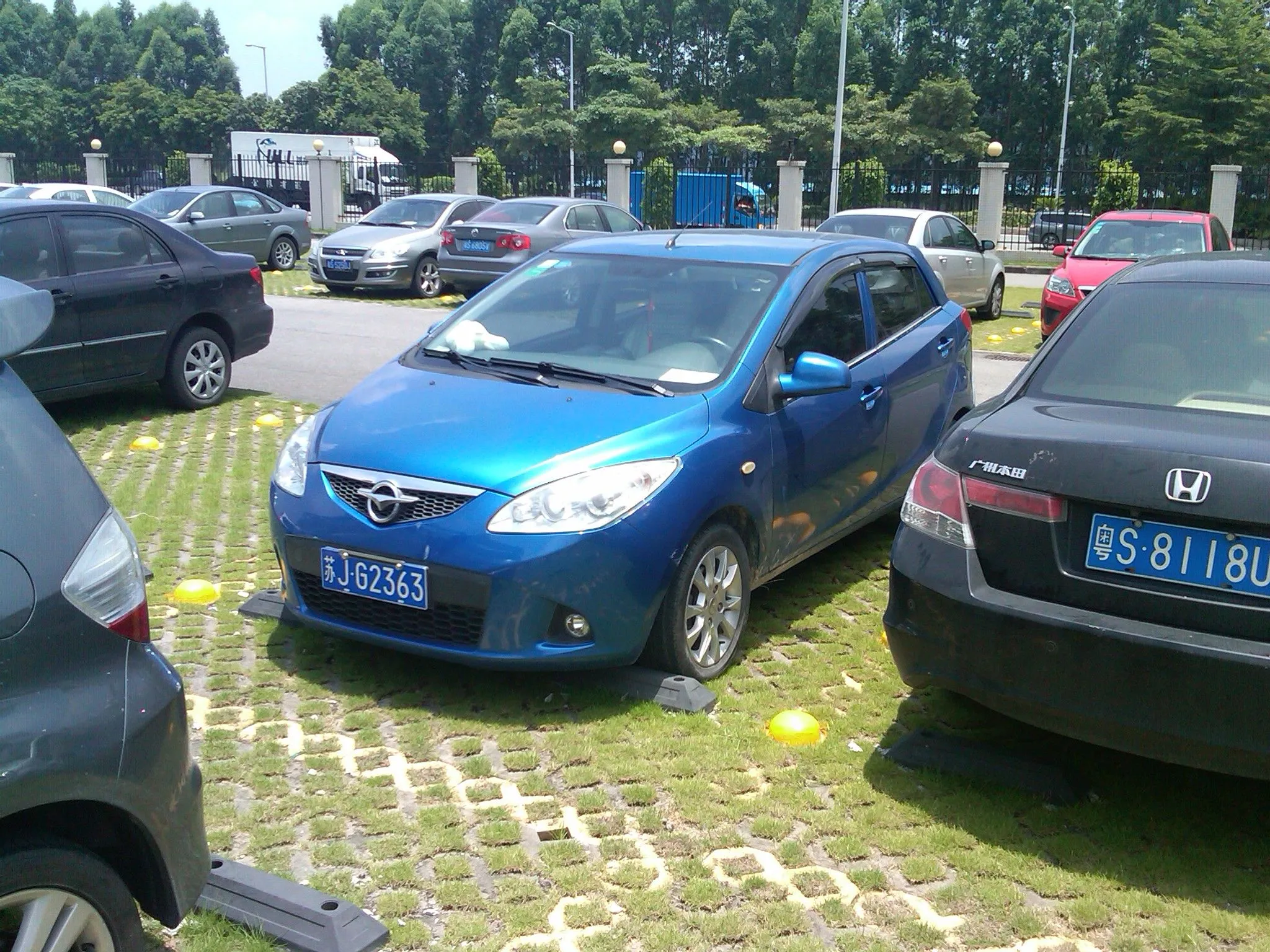 IMG01154-20120628-1246.jpg