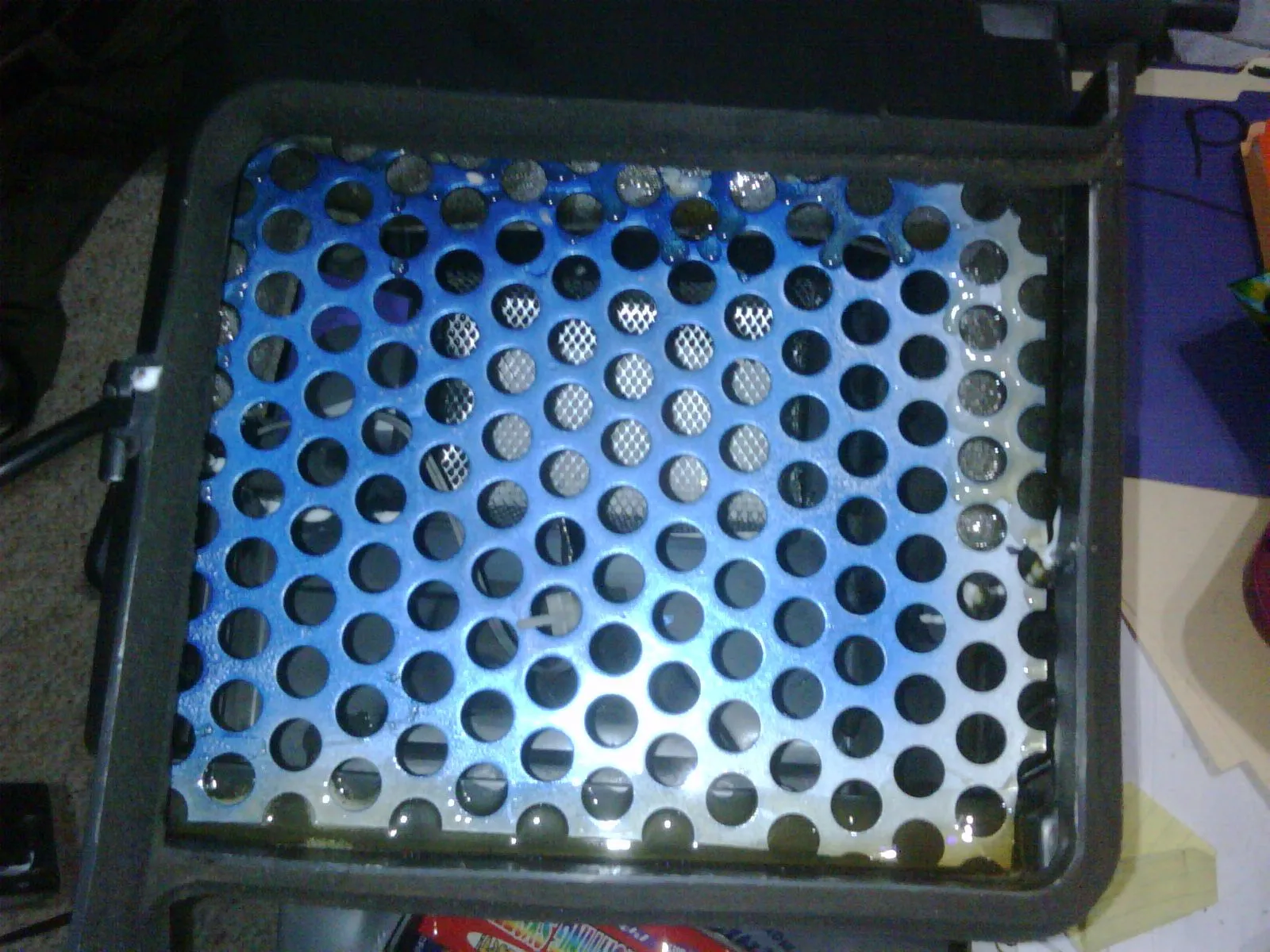 IMG01410-20111219-1910.jpg