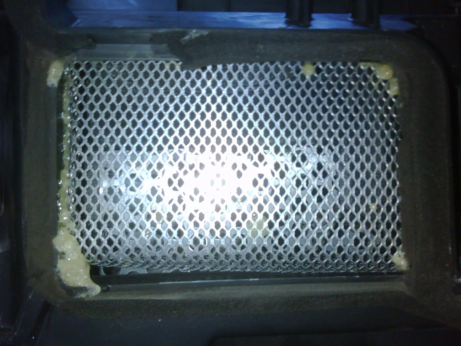 IMG01413-20111220-0532.jpg