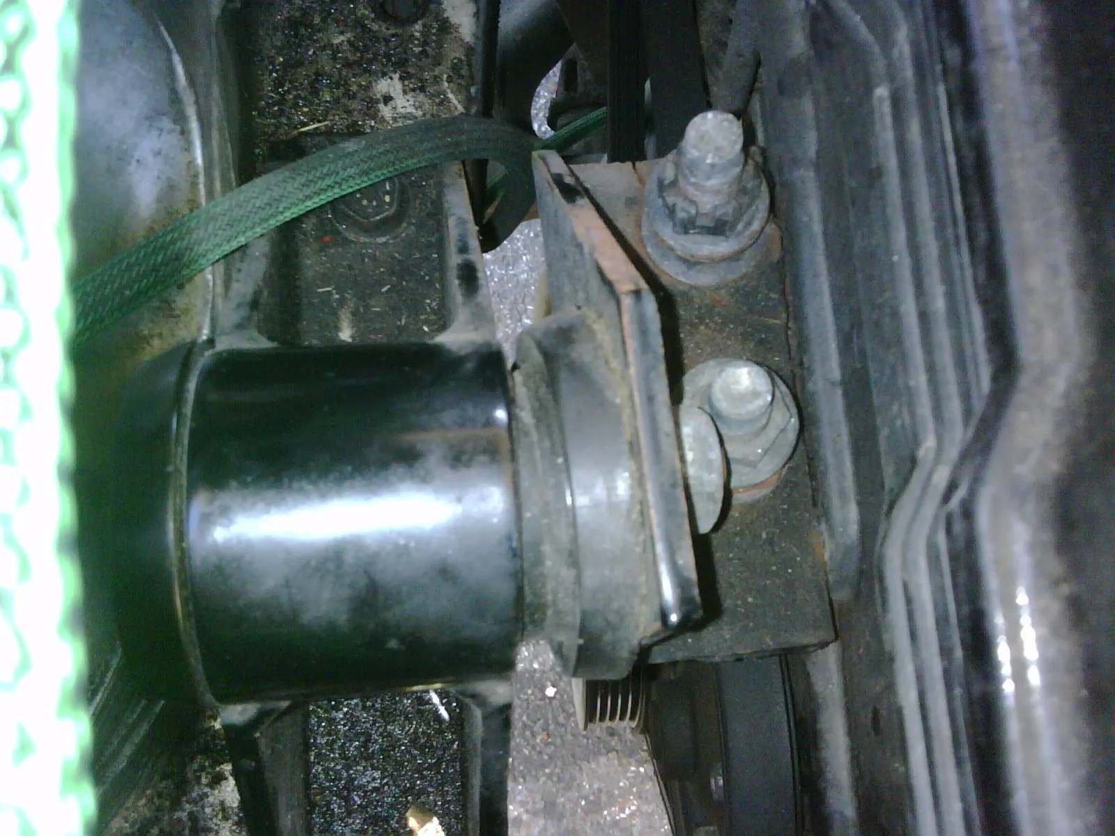 IMG01470-20111229-0849.jpg