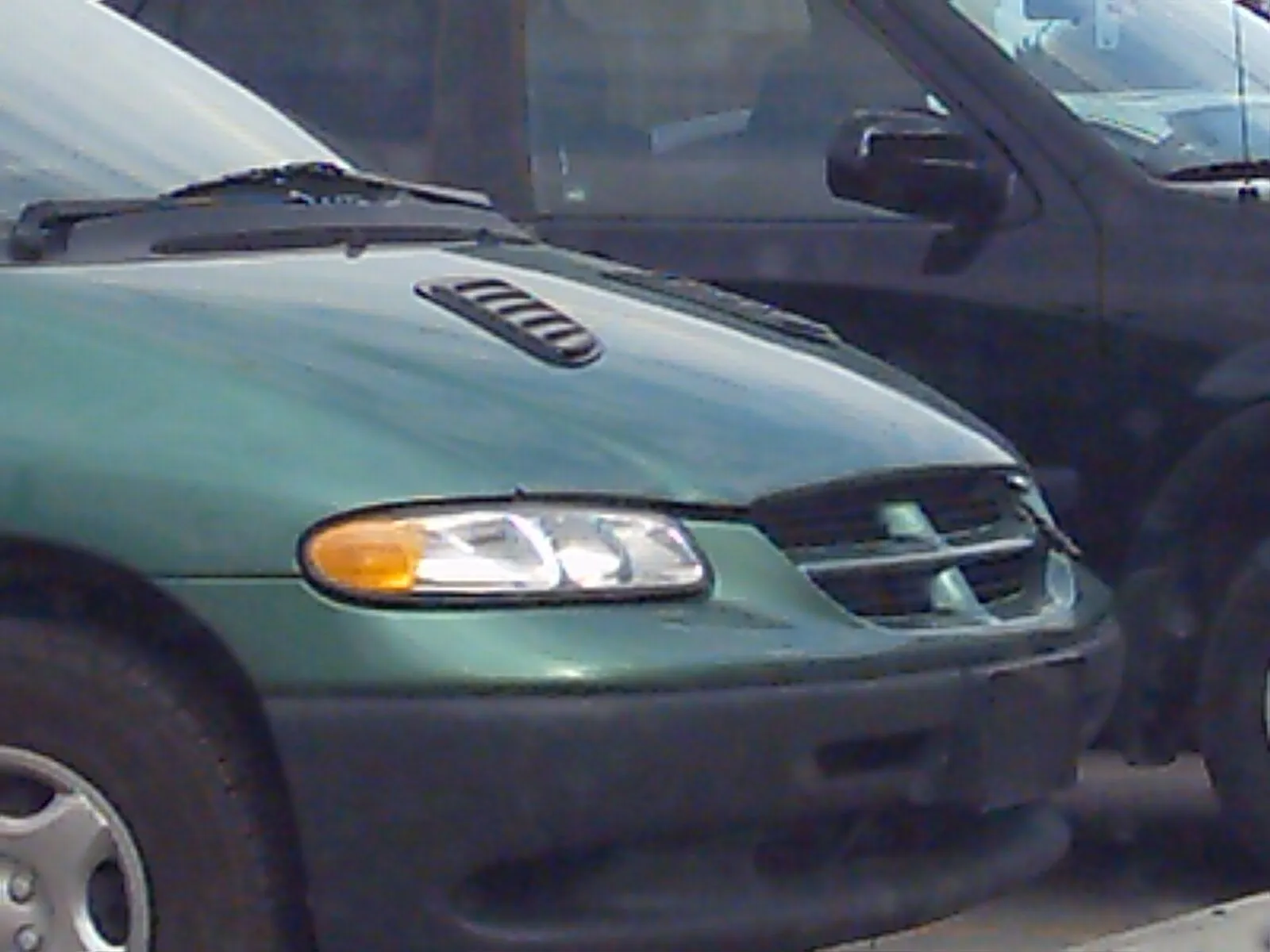 IMG_0015.webp