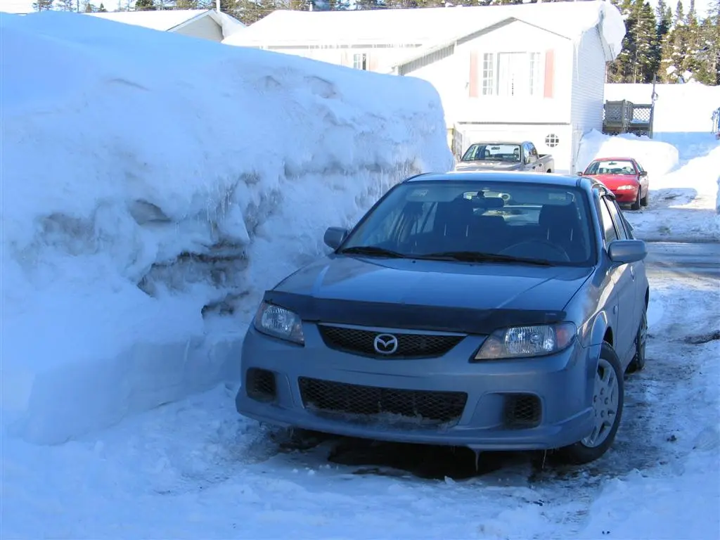 IMG_0025 (Large).webp