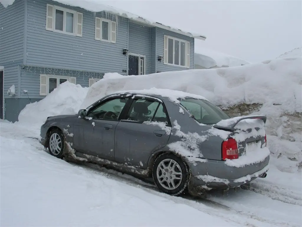 IMG_0037 (Large).webp