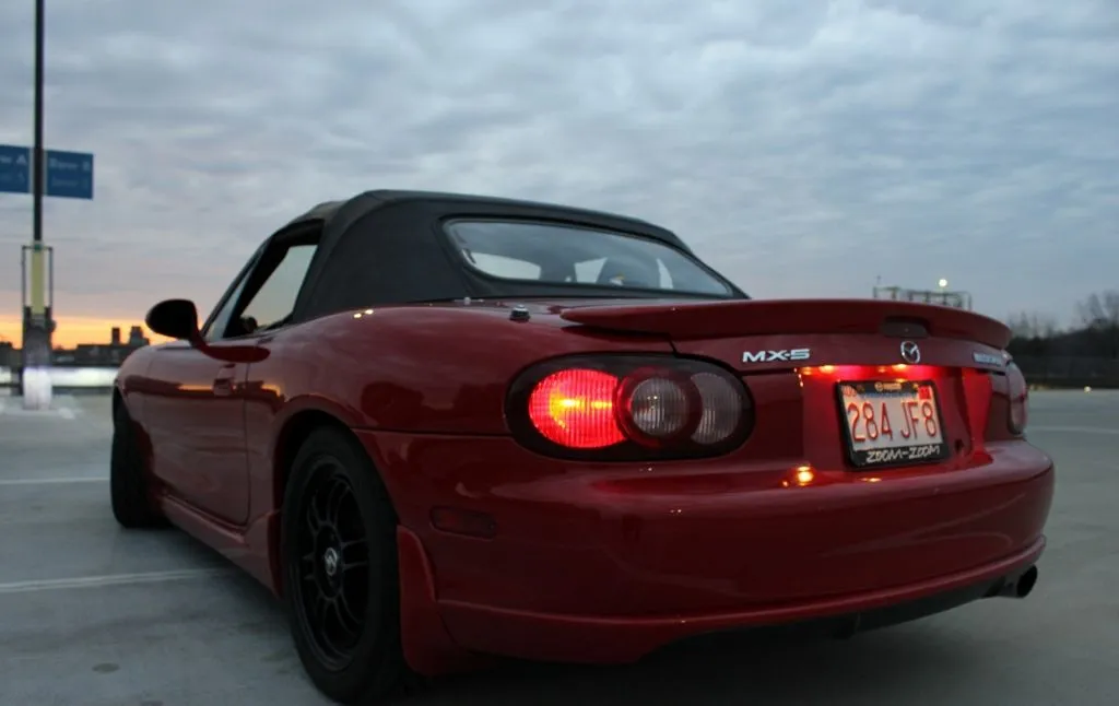 IMG_0325 (1024x646).webp