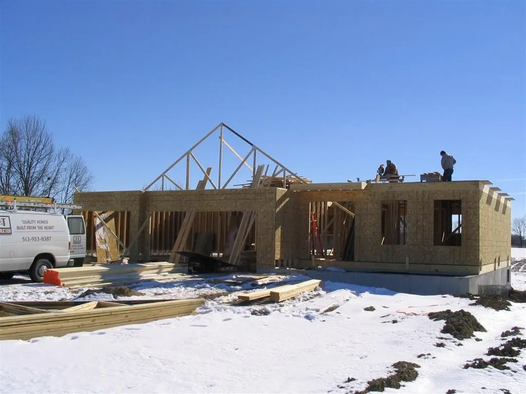 IMG_0461 (Large).webp