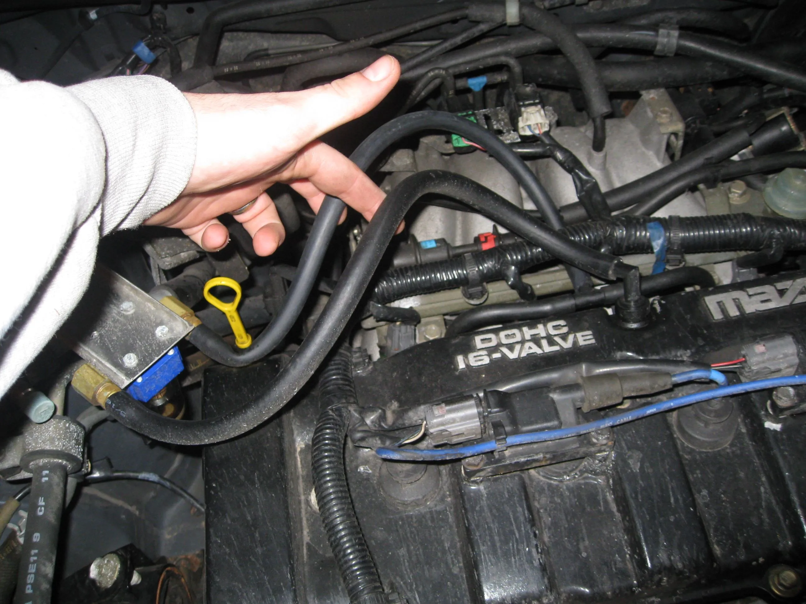 IMG_0657.JPG
