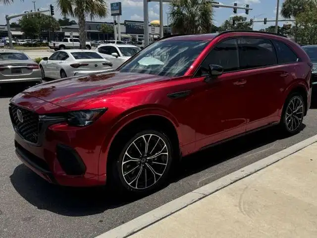 IMG_0671 Medium.jpeg