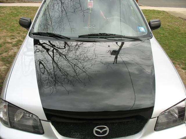 IMG_0837 smaller.webp