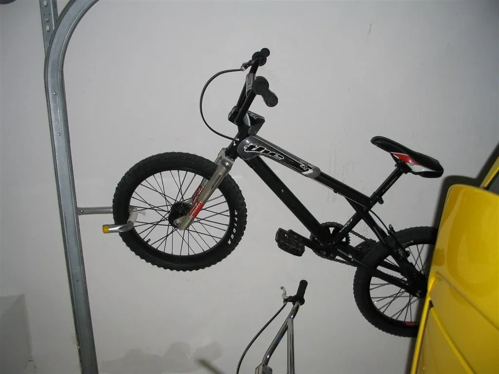 IMG_1051 (Large).webp