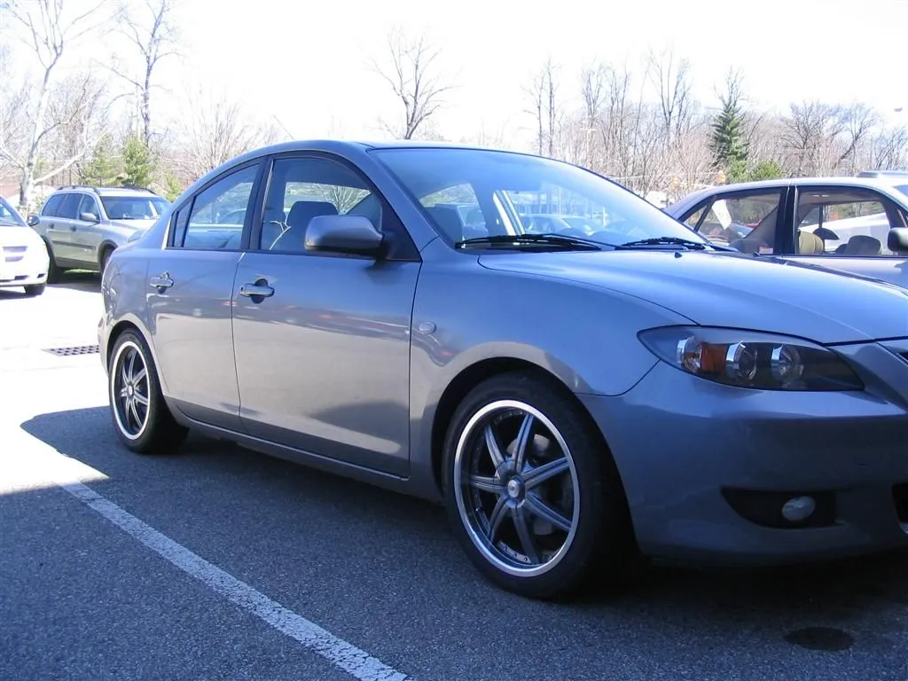 IMG_1695 (Large).JPG