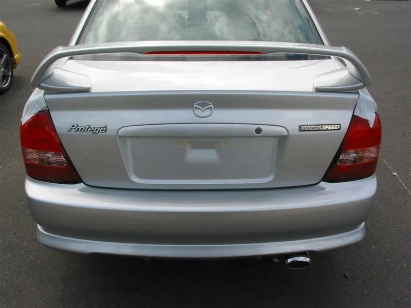 img_1734 (medium).webp