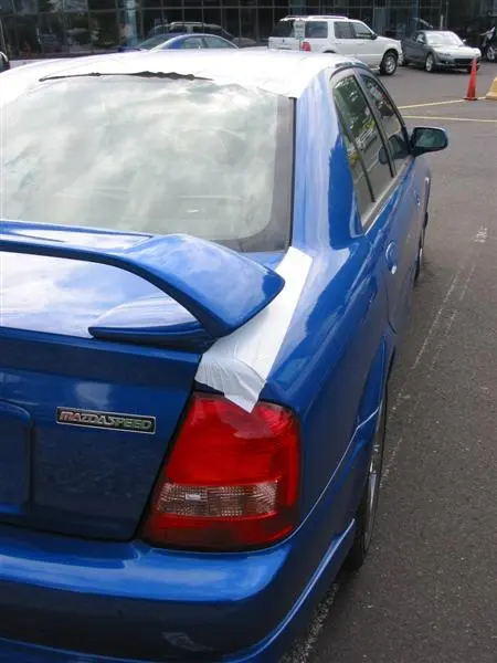 img_1736 (medium).webp