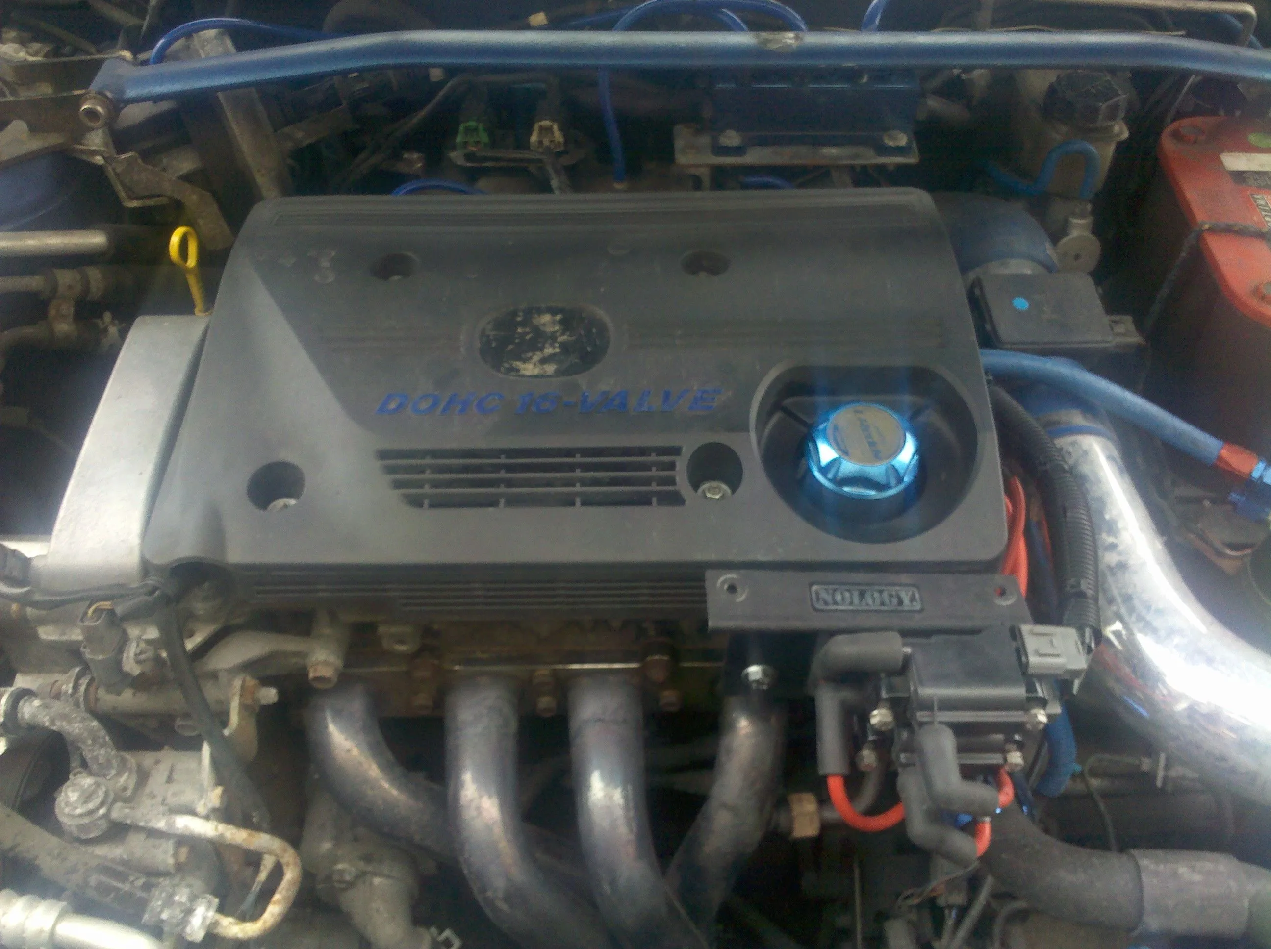IMG_20110507_145558.jpg