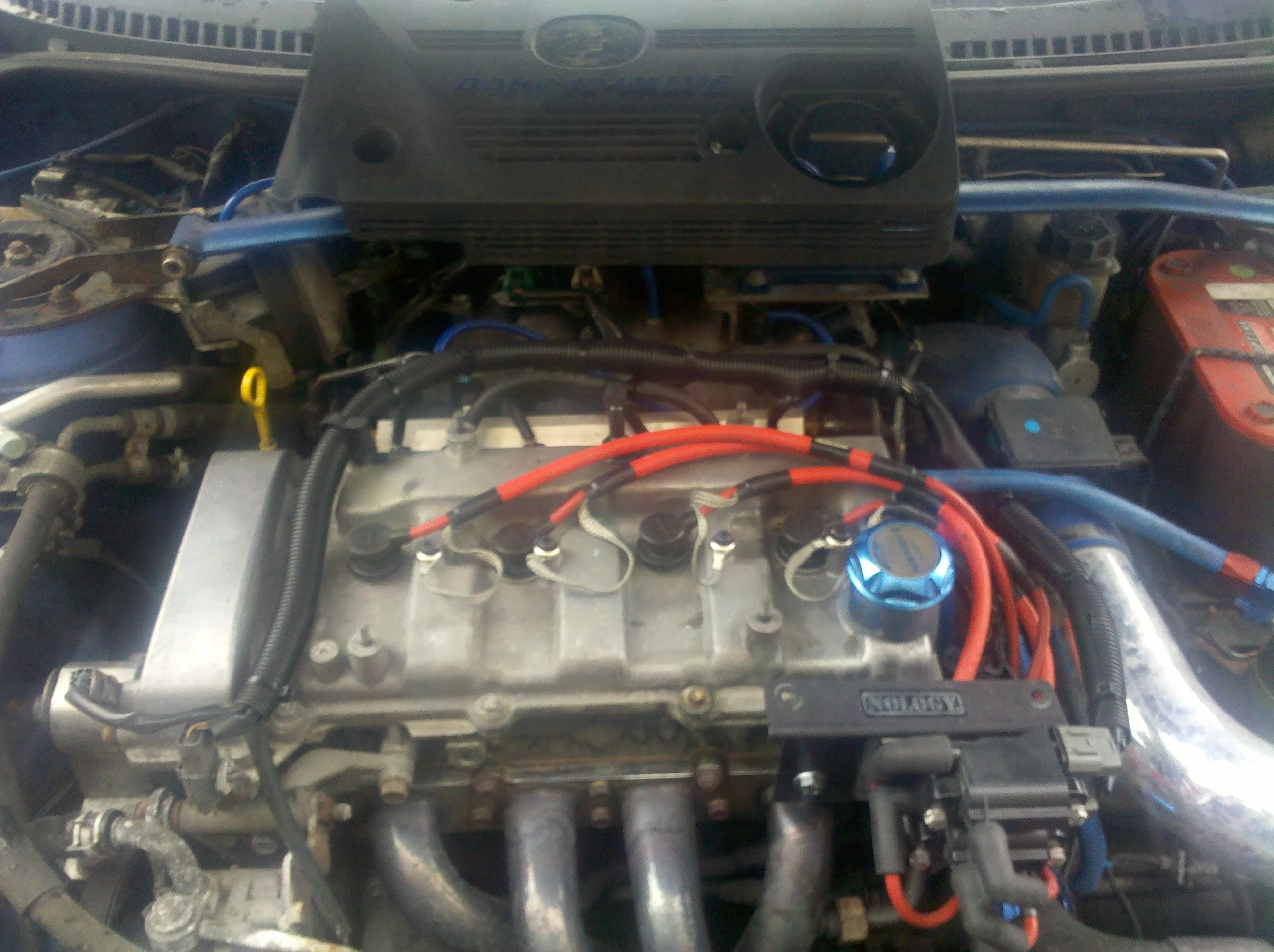 IMG_20110507_145731.jpg