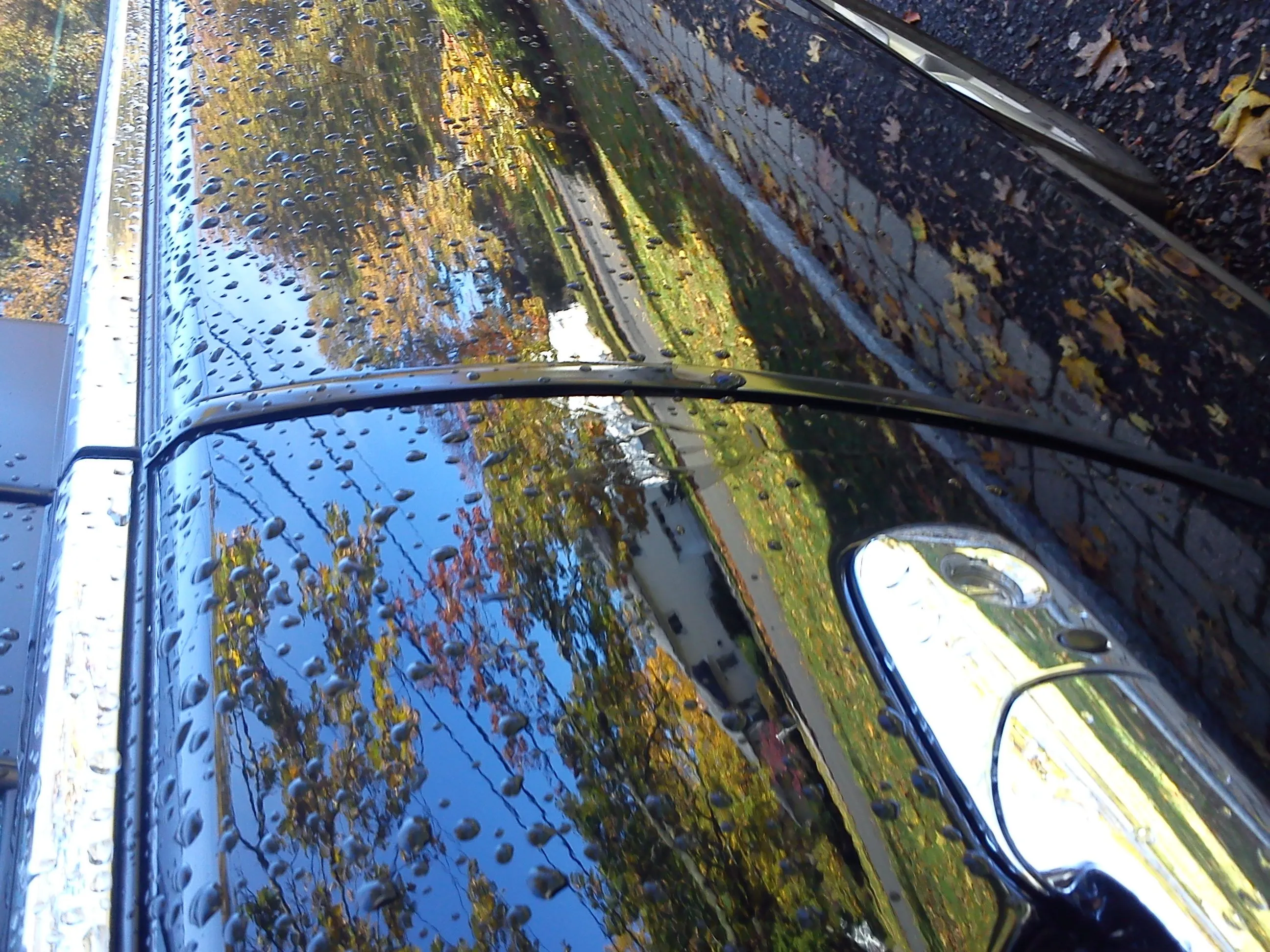 IMG_20111028_103043.jpg