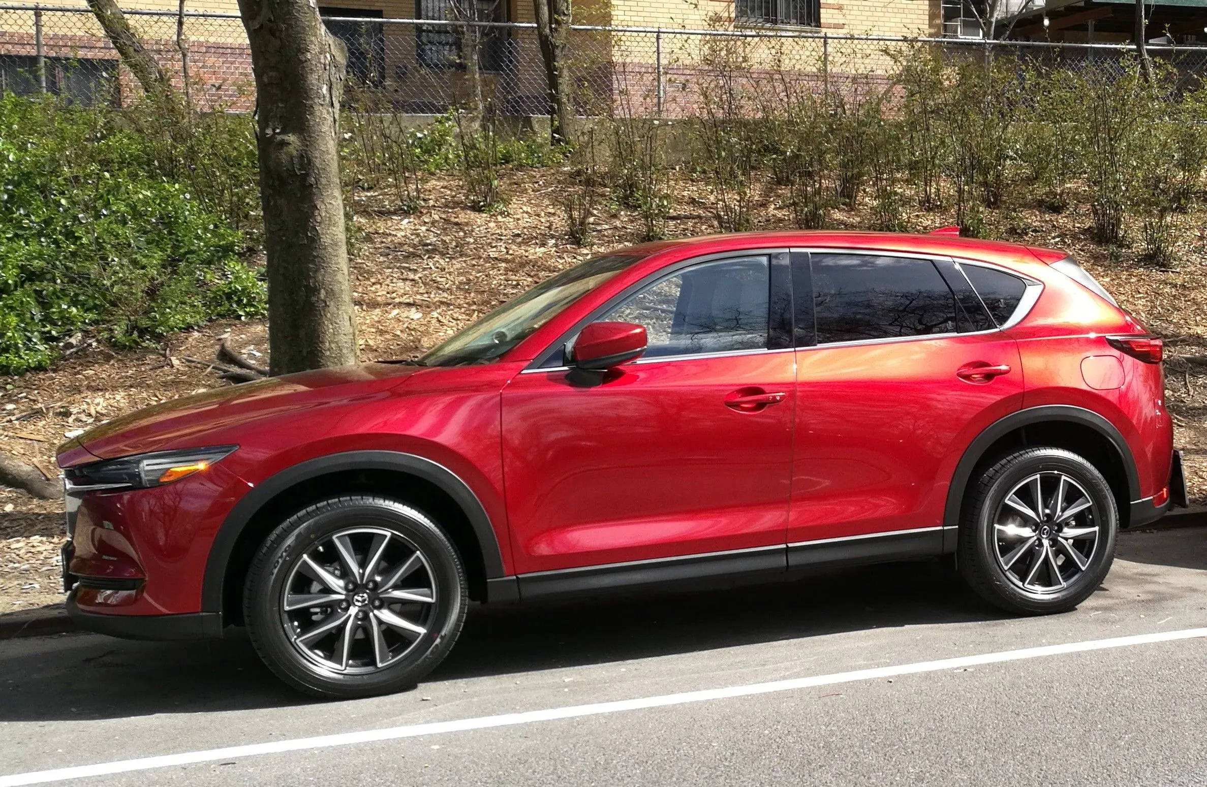 IMG_20170417_151229~2.jpg