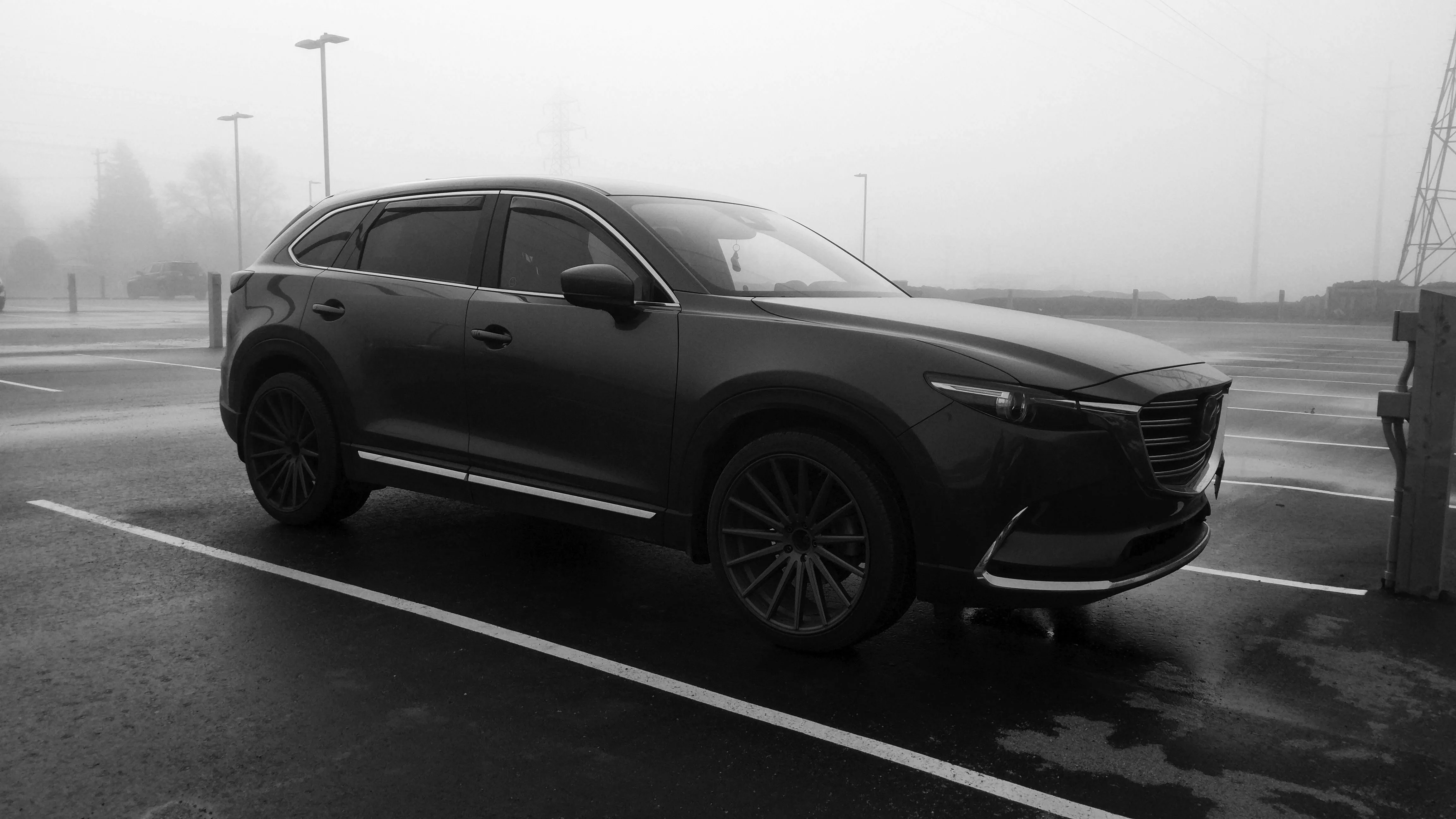 IMG_20190502_084146grey.jpg