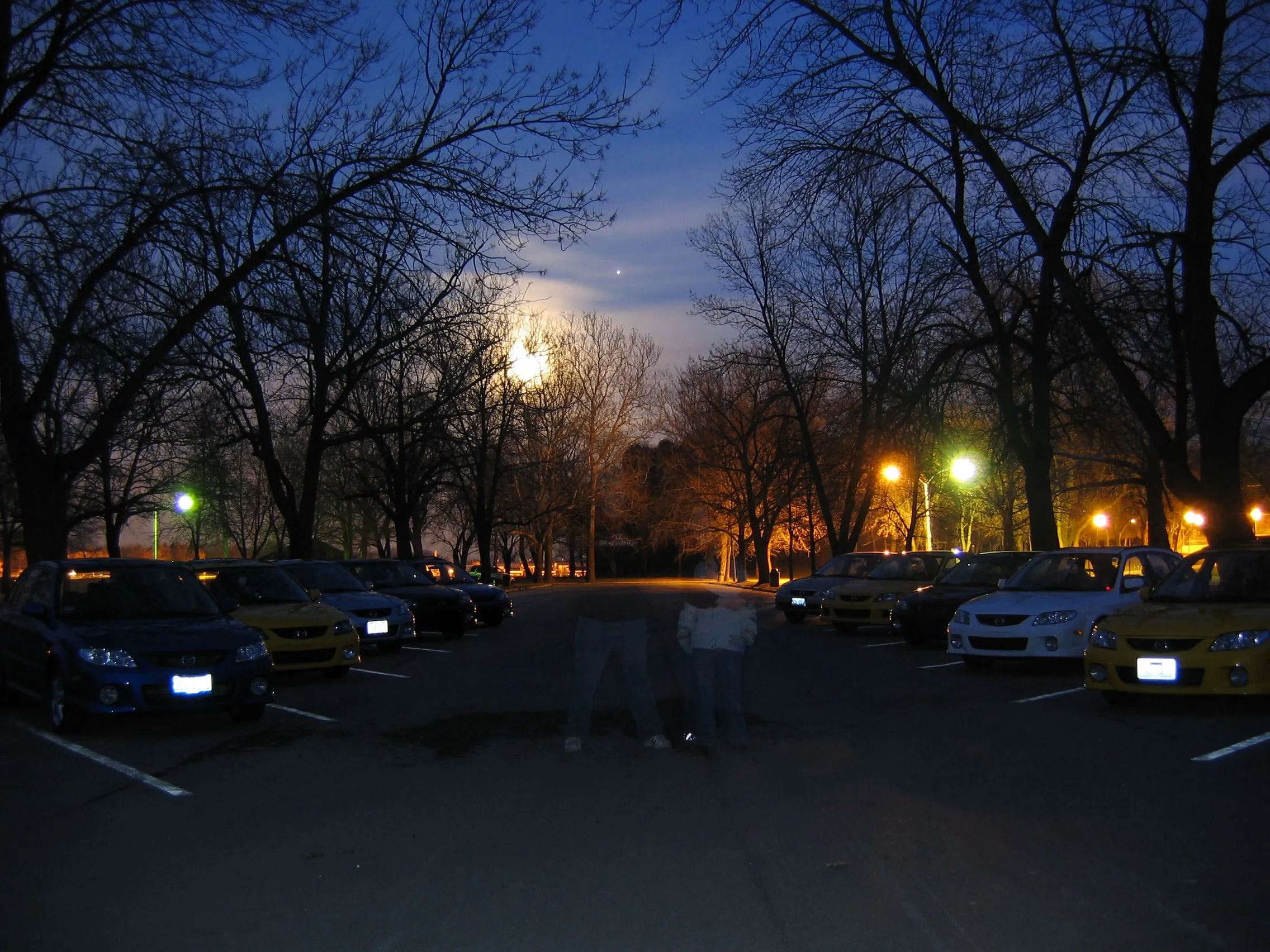 IMG_2081.webp