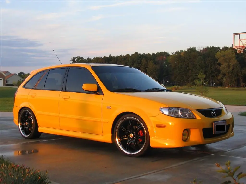 IMG_2102 (Large).jpg