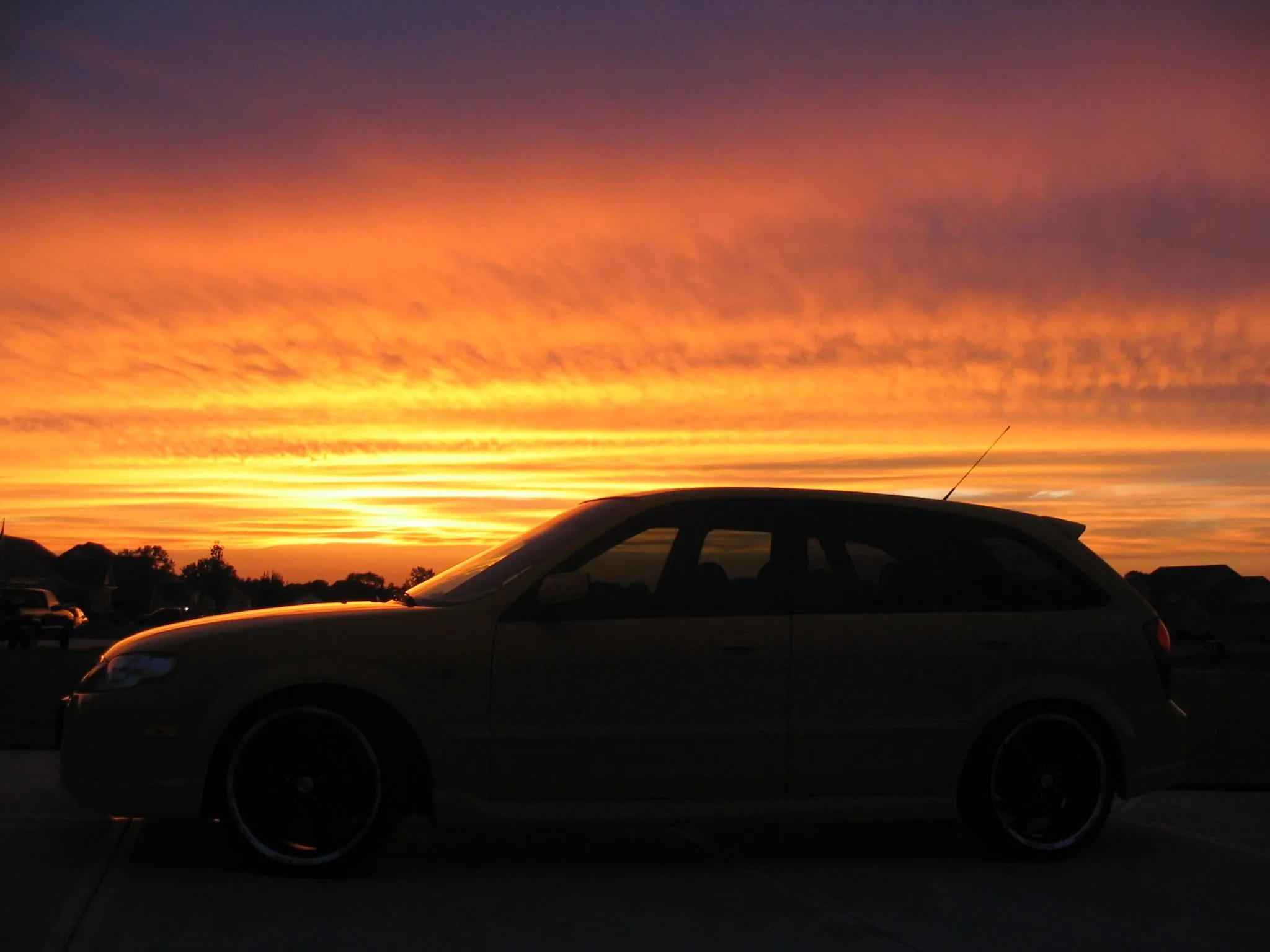 IMG_2110.webp