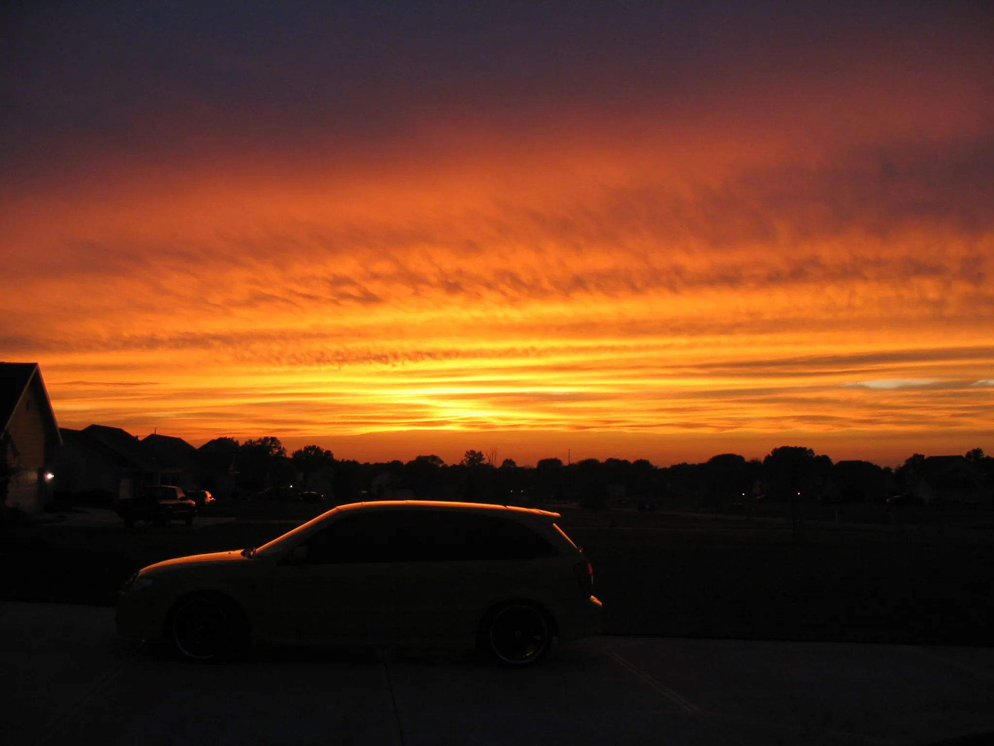 IMG_2111.webp
