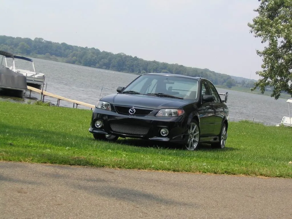 IMG_2210.webp