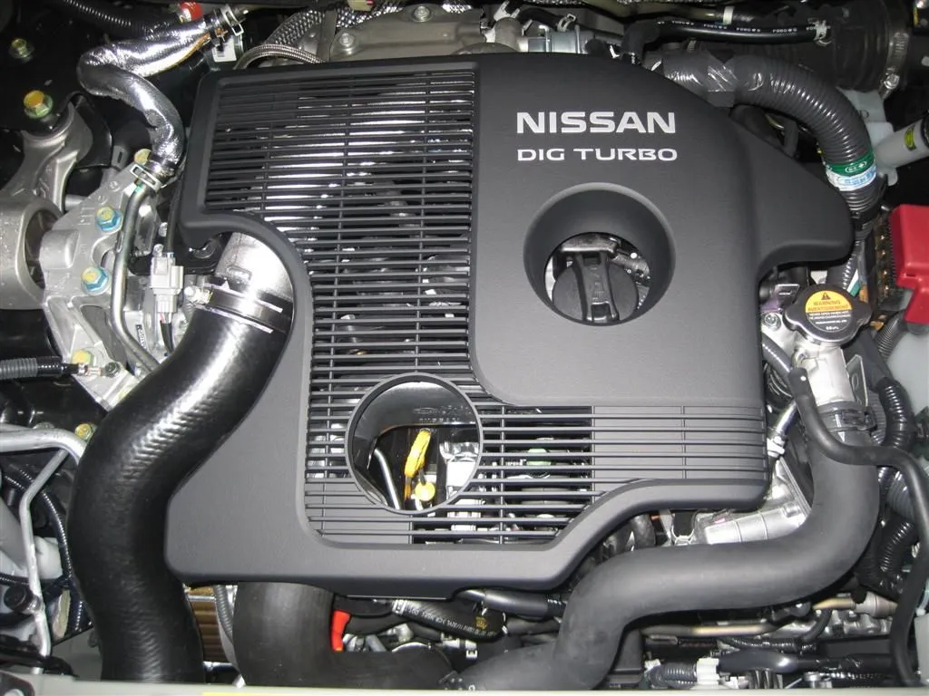 IMG_2259 (Large).jpg