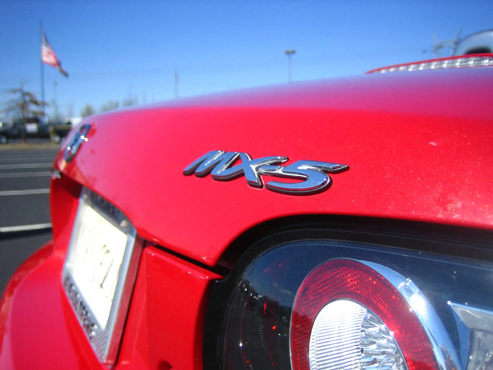IMG_2485.webp