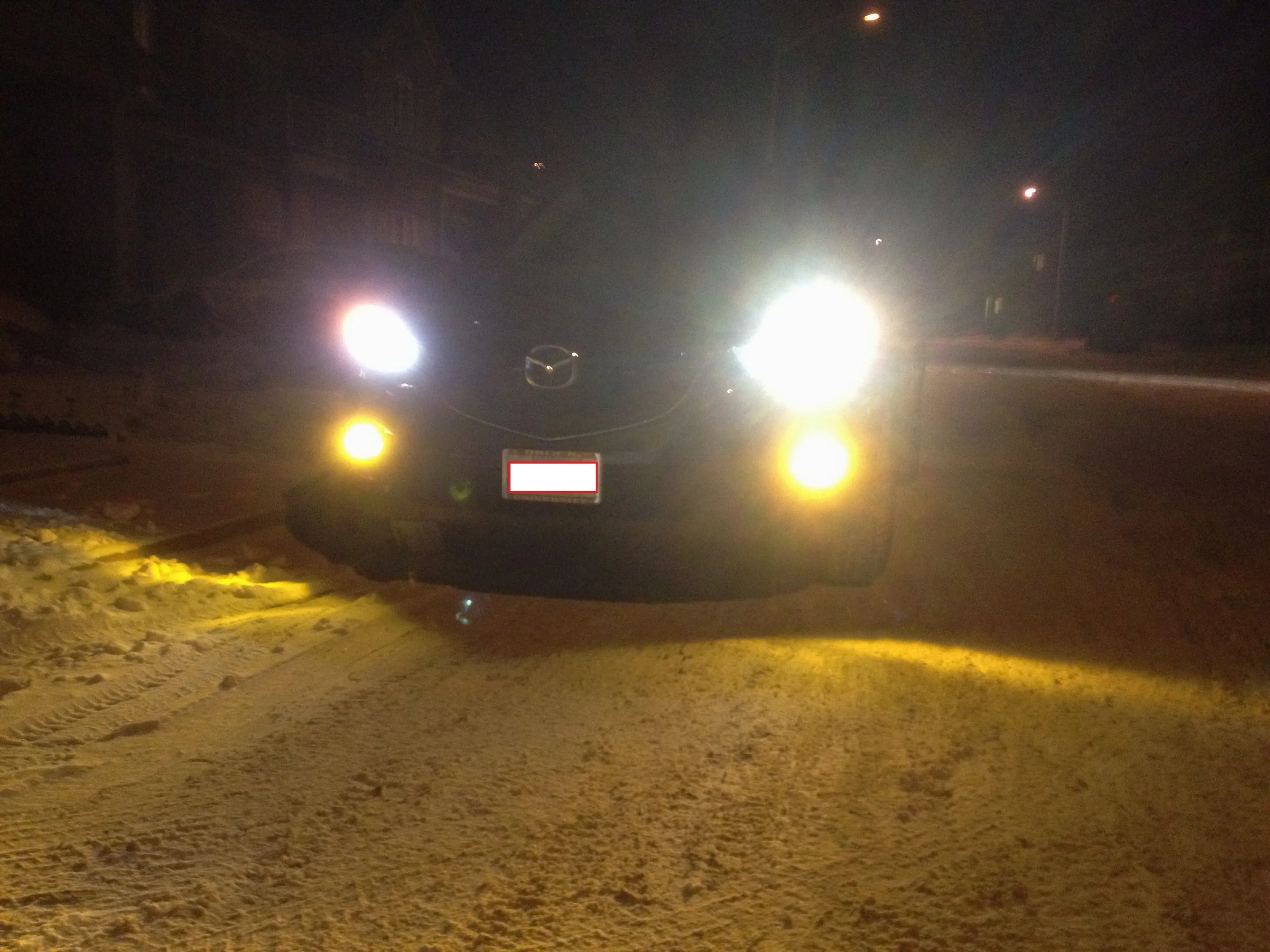 IMG_2496 - Copy_mini.JPG