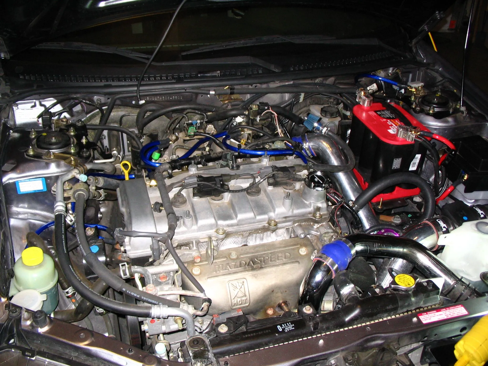 IMG_3303.webp