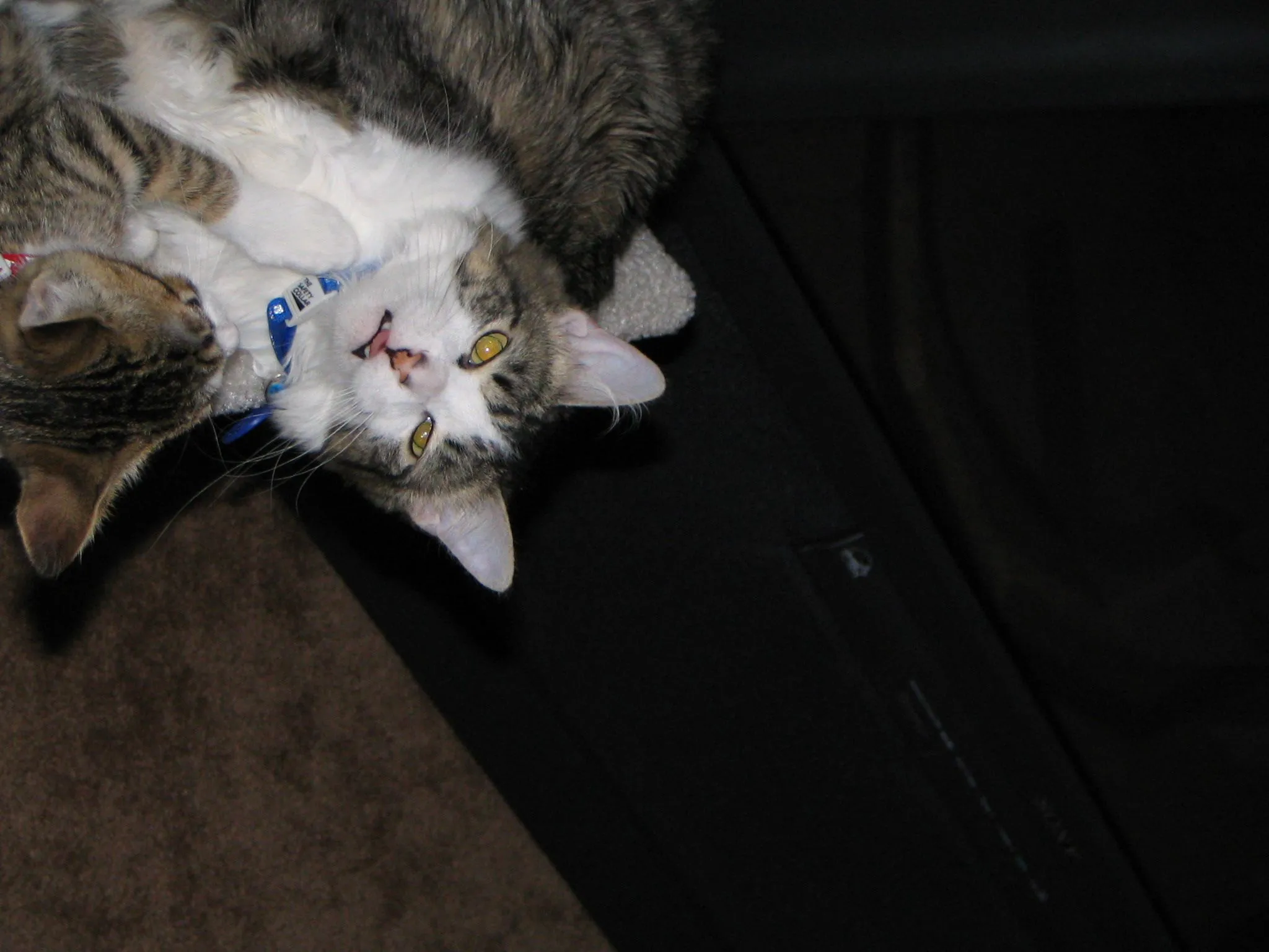 IMG_5430.webp