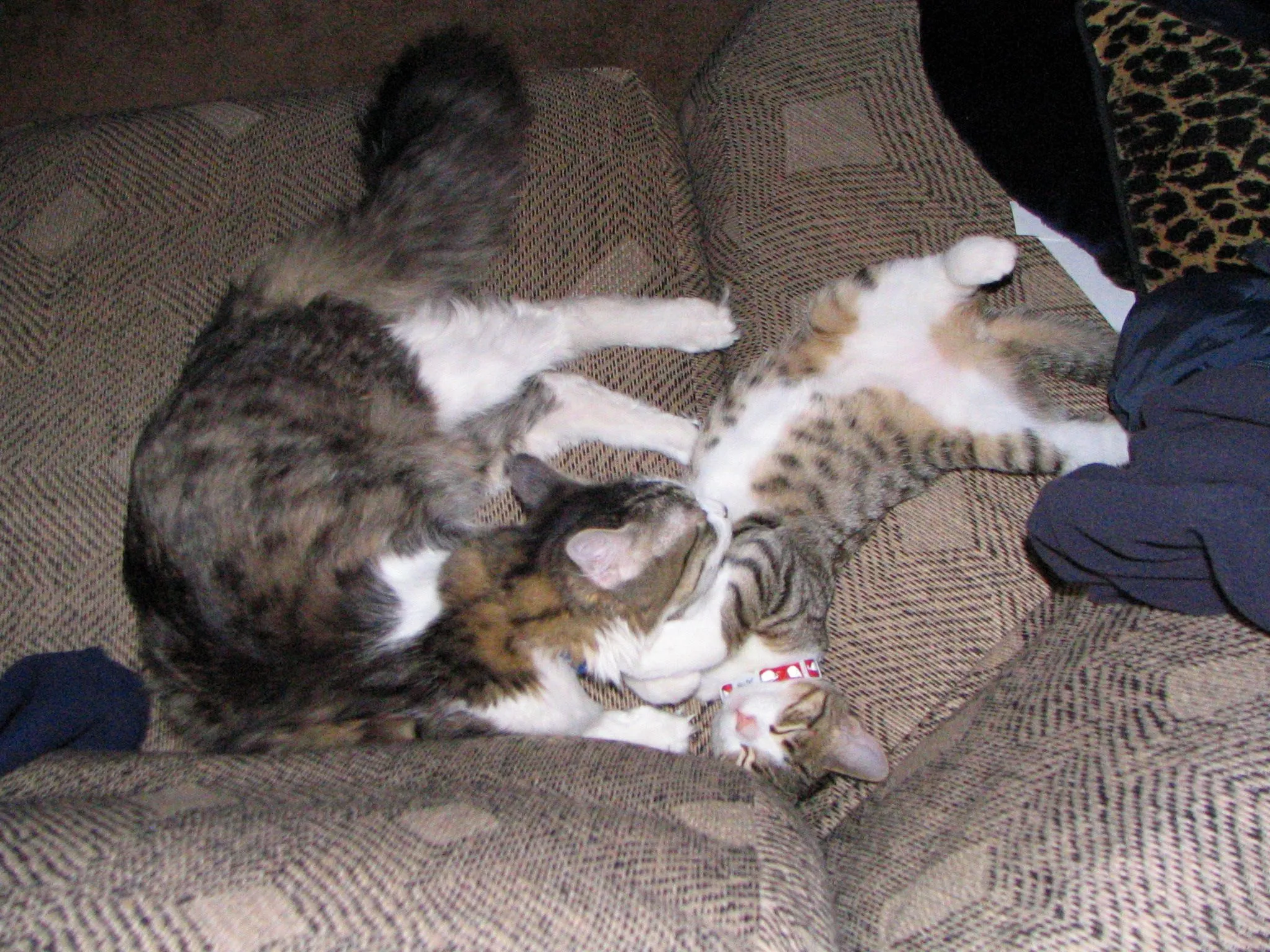 IMG_5623.webp