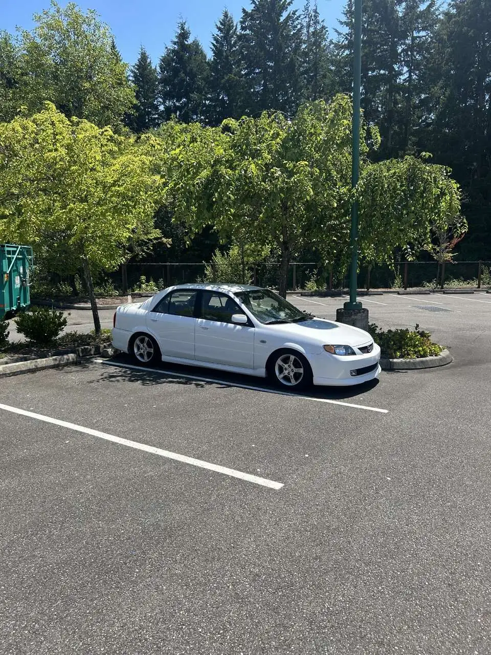 IMG_7509.jpeg