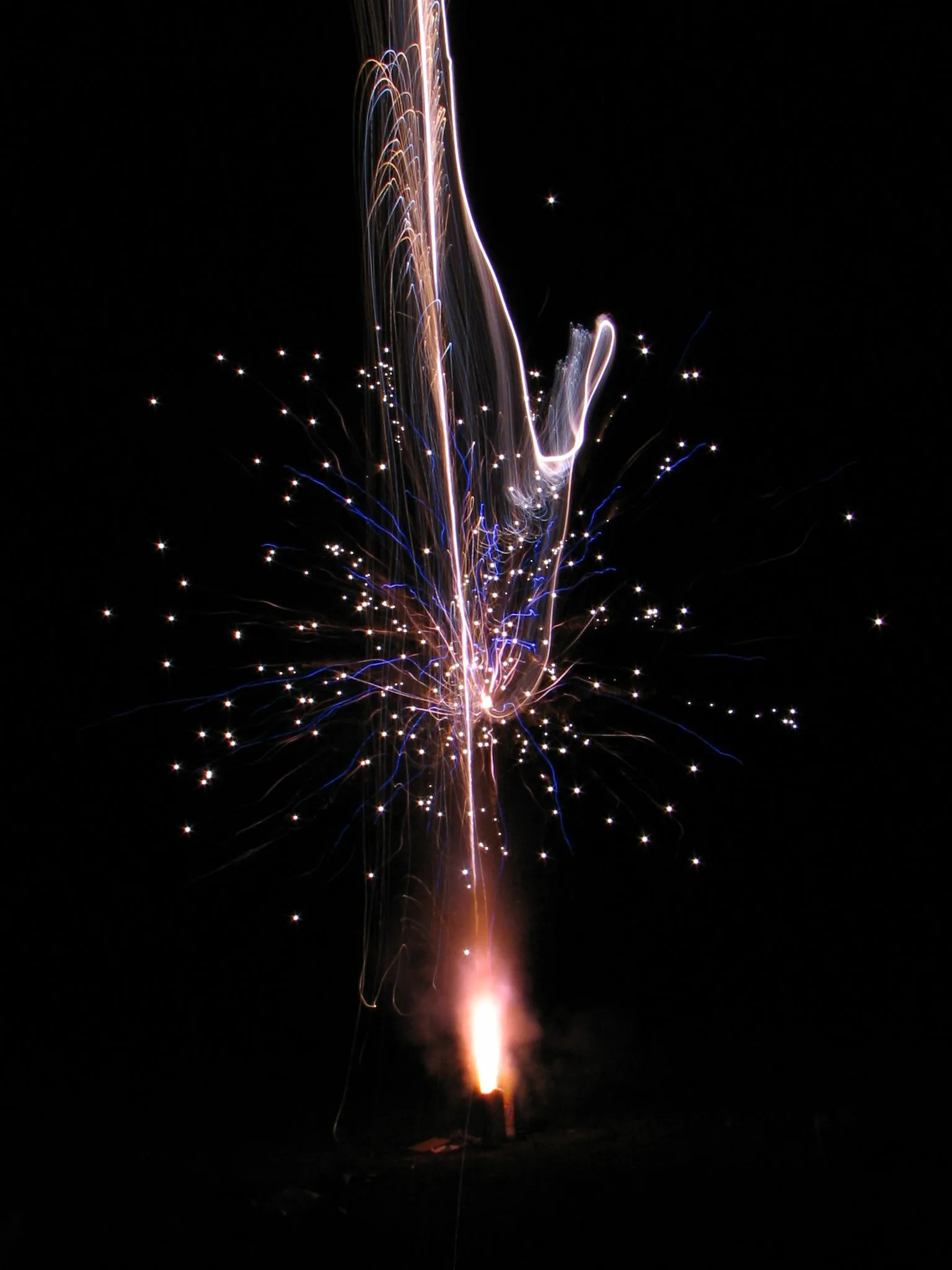 IMG_8876.webp