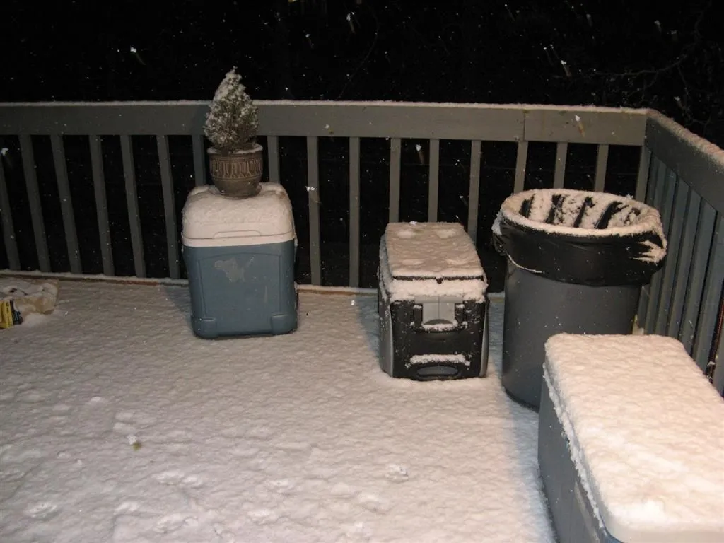 IMG_8935 (Large).webp