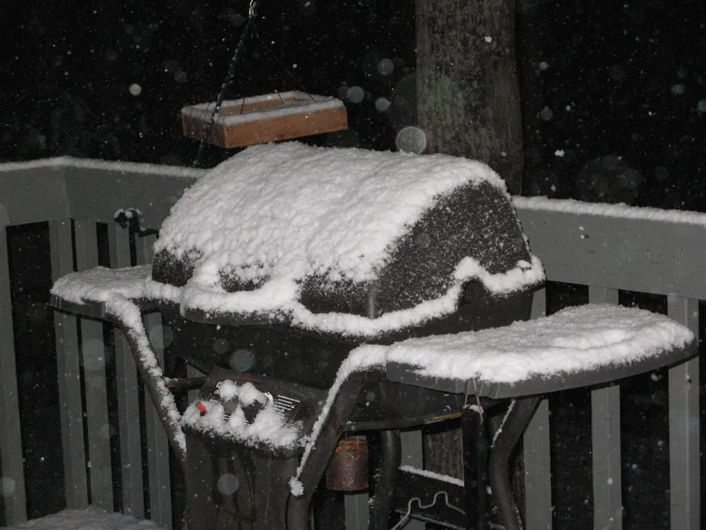 IMG_8937 (Large).webp