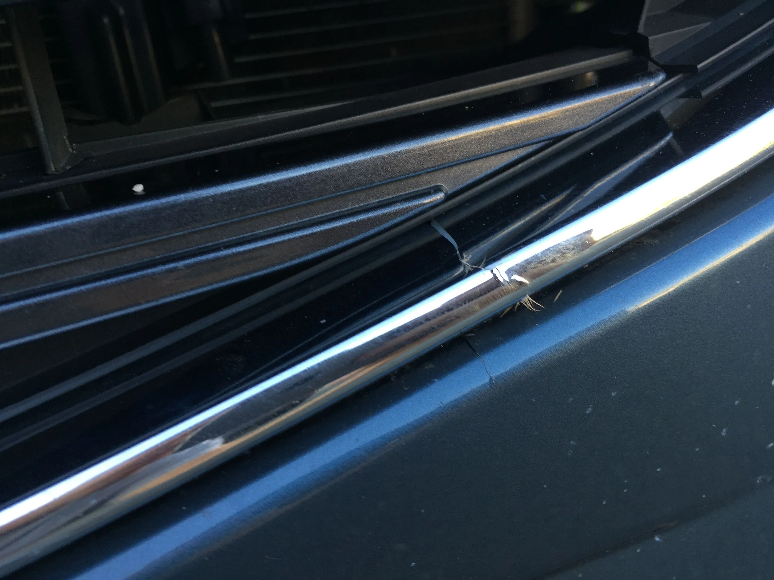 IMG_9509.JPG