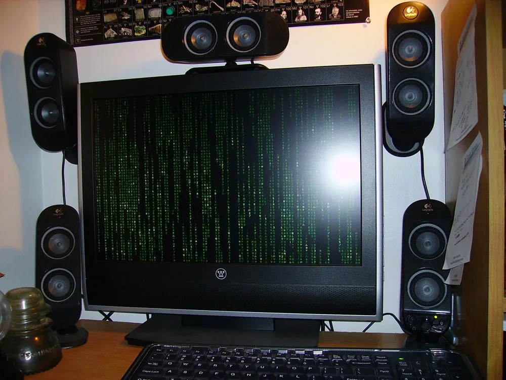 IMGP0004.webp