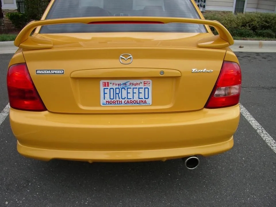 IMGP0257.webp