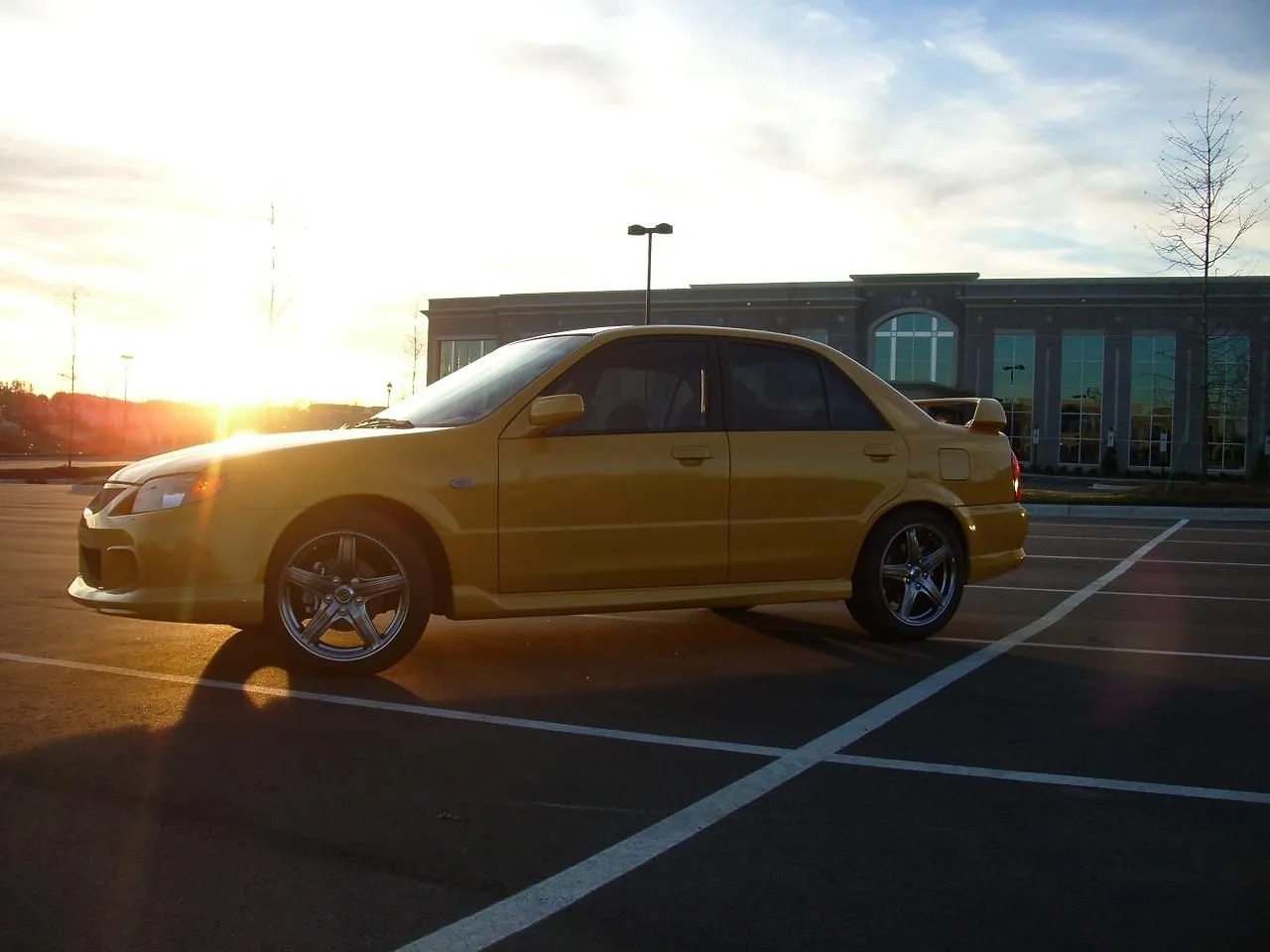 IMGP0312.webp