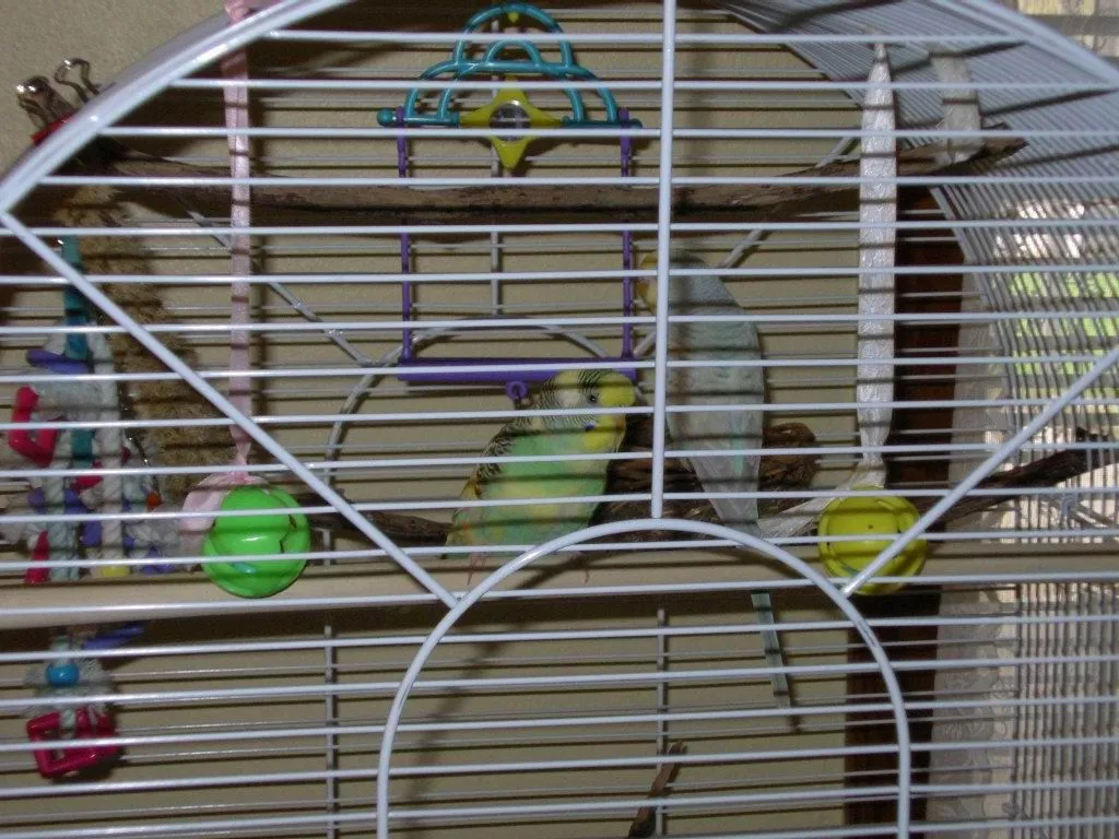 IMGP0463.webp