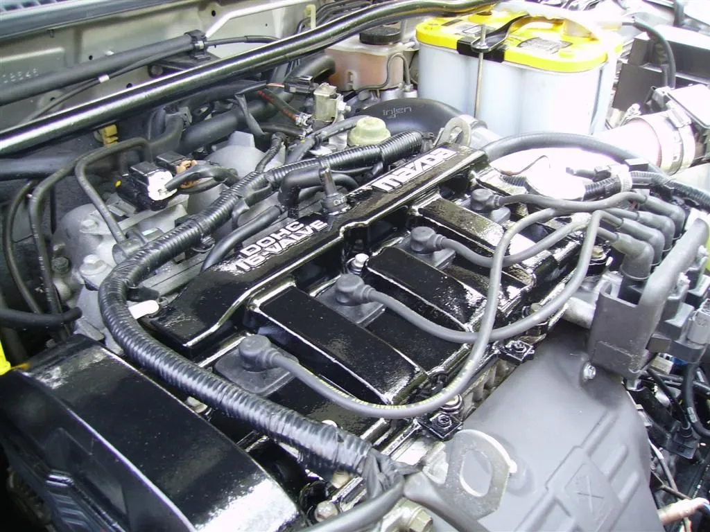 IMGP0507 (Large).webp