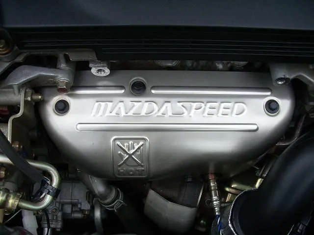 IMGP0625.webp