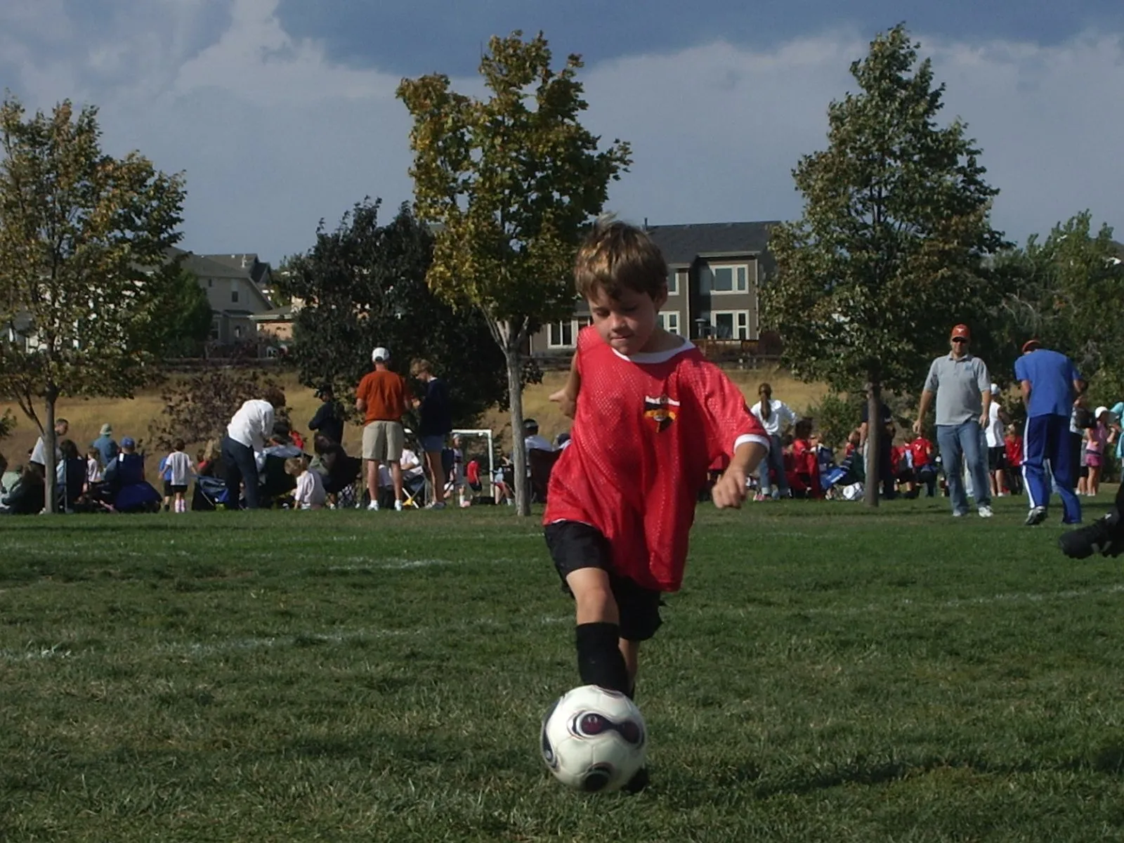 IMGP0781.JPG