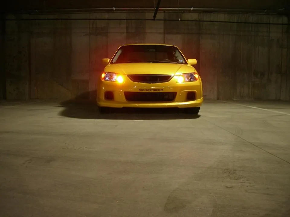 IMGP0839.webp