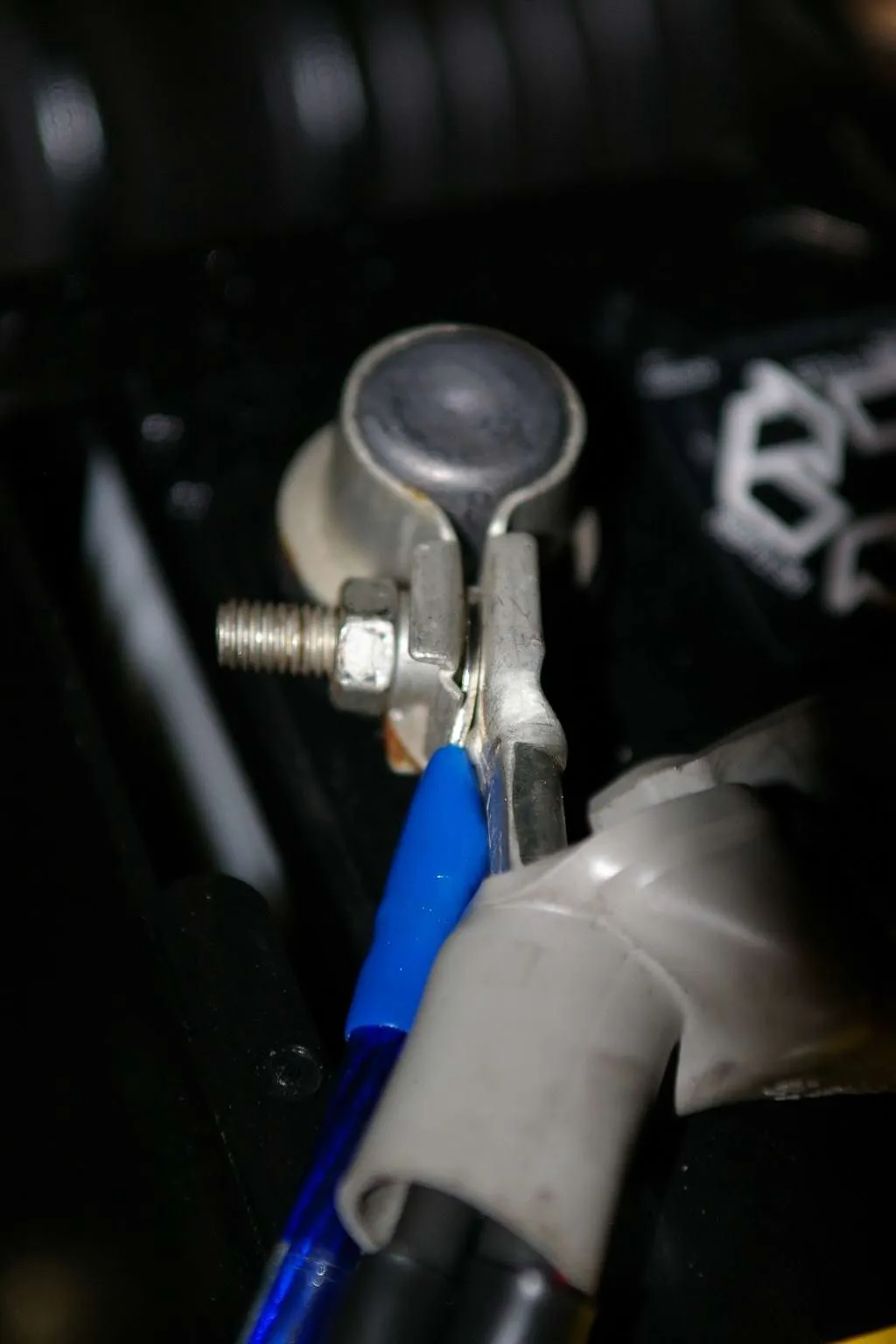 IMGP8421.webp
