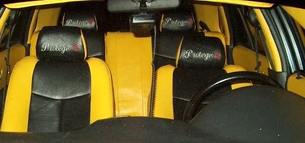 interiorwindshield.webp